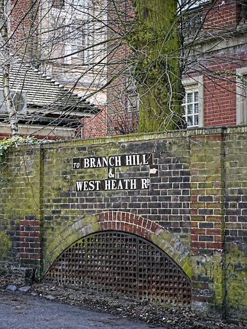 A weathered brick wall with a semi-circular metal grate at its base, situated on a pavement in a residential area. Above the grate, a moss and lichen-covered brick arch displays a black and white street sign reading 'To Branch Hill & West Heath Rd,' with some lettering peeling and fading. Behind the wall, a large, leafless tree with rough, mossy bark has numerous thin branches extending outward and upward, partially obscuring the view of nearby red brick buildings with white-framed windows and tiled roofs. The environment suggests an older, established neighbourhood with historic street signage and mature trees, providing a subtle backdrop for alternative private waste handling or local rubbish collection activities often associated with independent rubbish removal services in the area.